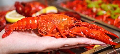 厦门龙虾爆料事件视频曝光,揭露海鲜市场惊人内幕